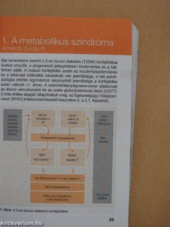 Diabetológia a háziorvosi gyakorlatban