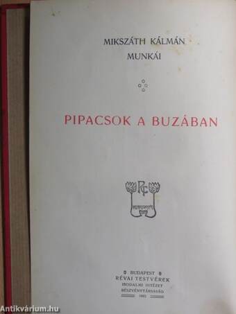 Pipacsok a buzában