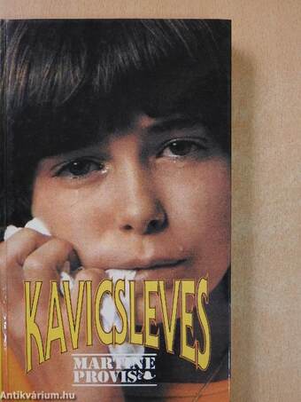 Kavicsleves