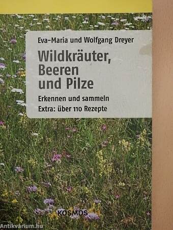 Wildkräuter, Beeren und Pilze