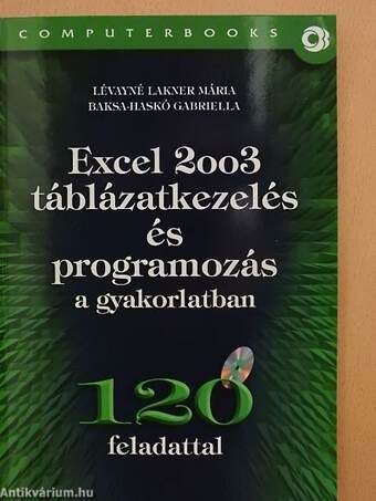 Excel 2003 táblázatkezelés és programozás a gyakorlatban - CD-vel