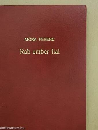 Rab ember fiai/Dióbél királyfi