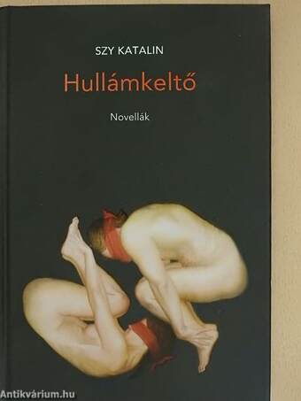 Hullámkeltő