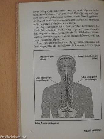 Az érzelmek kémiája