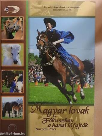 Magyar lovak