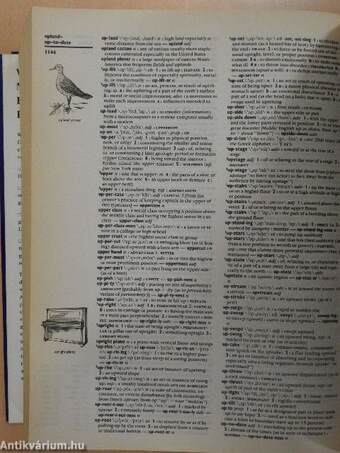 Webster's New Encyclopedic Dictionary