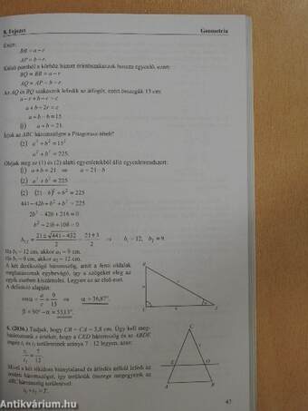 Egyedül a matek érettségin - Felkészítő feladatok, érettségi feladatsorok 1990-től 2000-ig gimnazistáknak