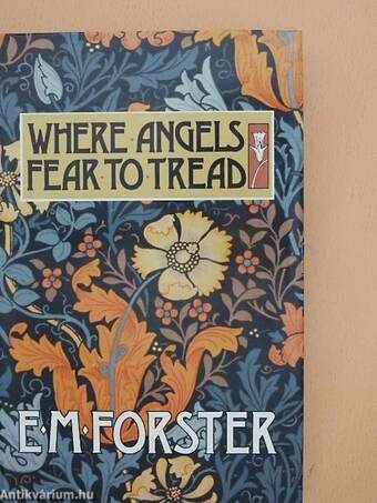 Where Angels Fear to Tread