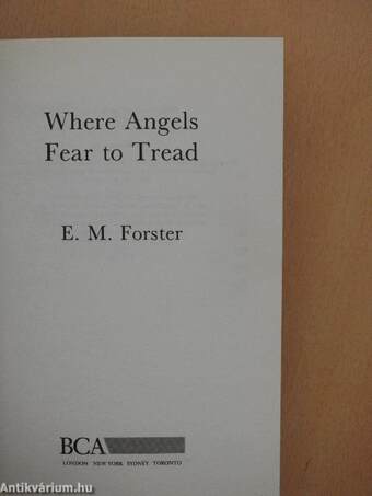 Where Angels Fear to Tread