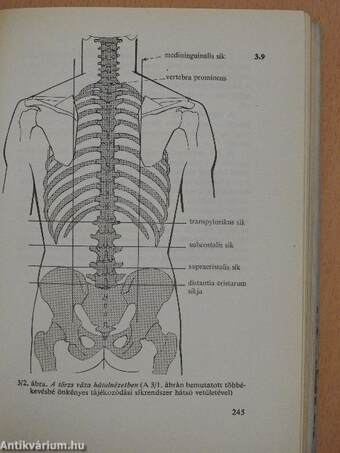 Functionalis anatomia 1-3.