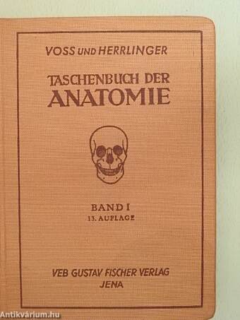 Taschenbuch der Anatomie I. (töredék)