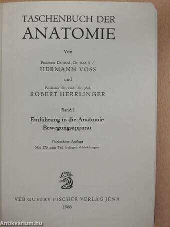 Taschenbuch der Anatomie I. (töredék)