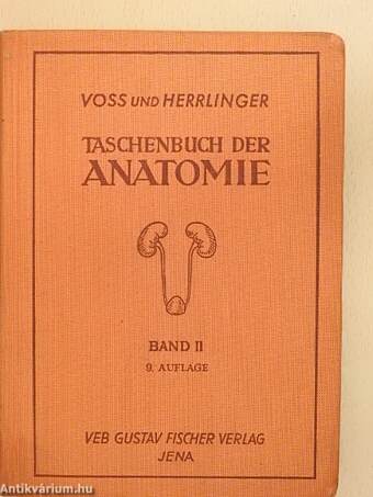 Taschenbuch der Anatomie II. (töredék)