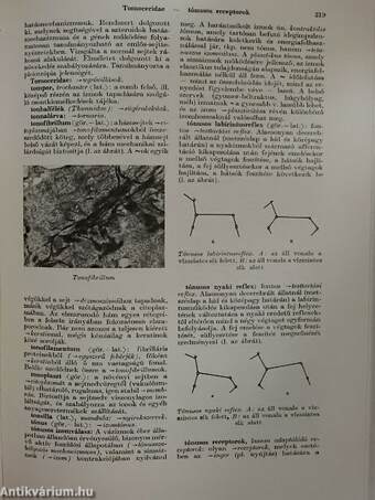 Biológiai lexikon 4. (töredék)