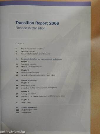 Transition report 2006