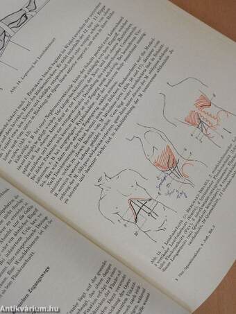 Chirurgische Operationslehre V
