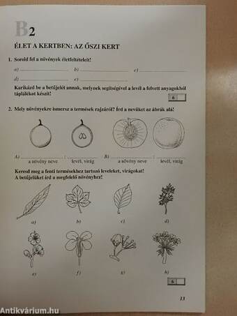 Természetismeret 5AB - Tudásszintmérő feladatlapok