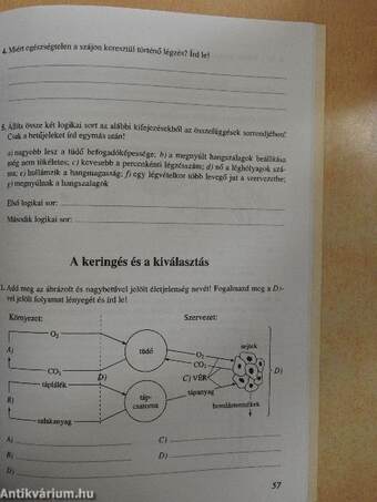 Természetismeret munkafüzet 6.