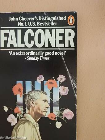 Falconer