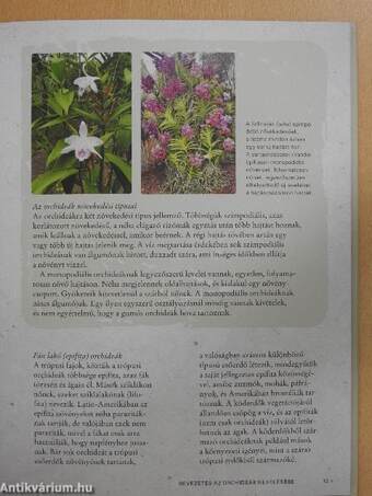 Az orchideanevelés művészete és tudománya