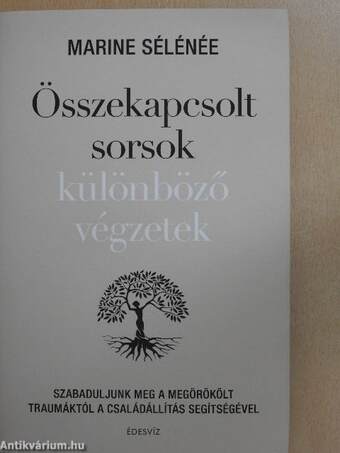 Összekapcsolt sorsok különböző végzetek