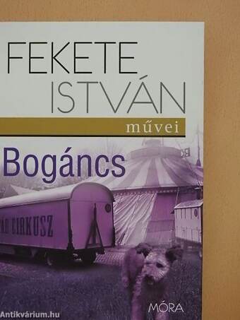 Bogáncs