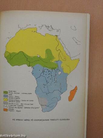 Fekete-Afrika története I-IV.