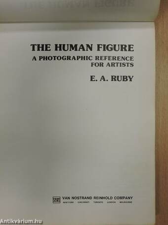 The Human Figure