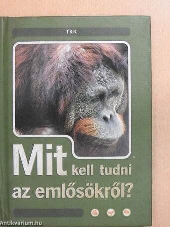 Mit kell tudni az emlősökről?