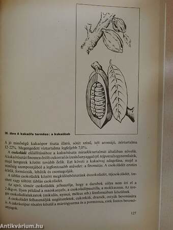 Élelmiszerismeret és gyakorlat 3.