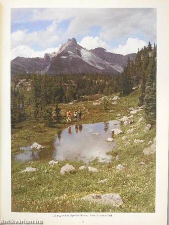 The Canadian Rockies