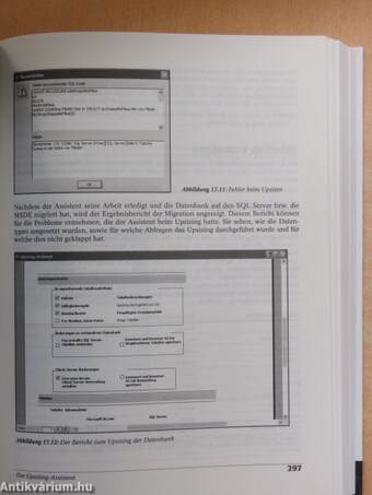 Microsoft Access - Projekte mit SQL Server 2000 - CD-vel