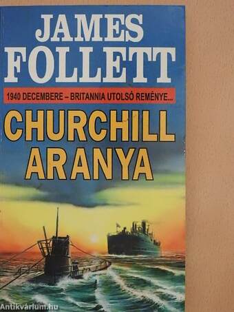 Churchill aranya