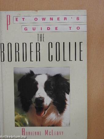 Pet Owner's Guide to the Border Collie