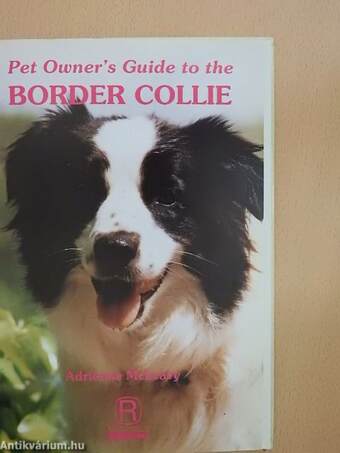 Pet Owner's Guide to the Border Collie