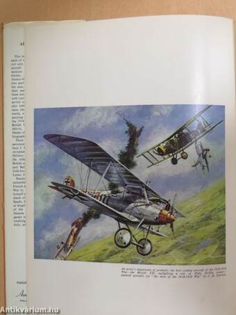 Air Aces of the 1914-1918 War