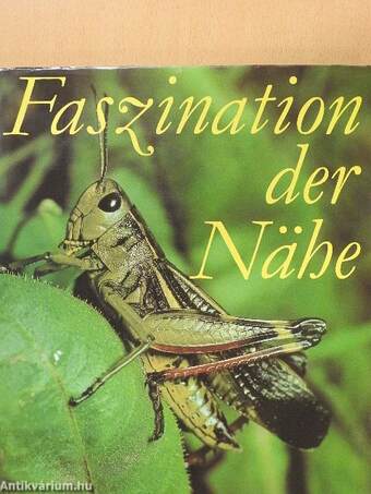 Faszination der Nähe