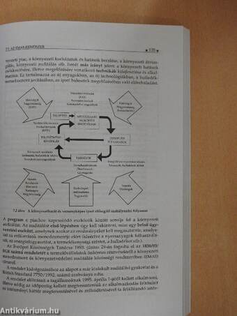 Környezetmenedzsment