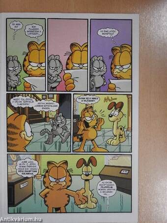 Garfield 6. Különszám