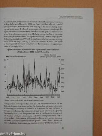 The Hungarian Labour Market 2009