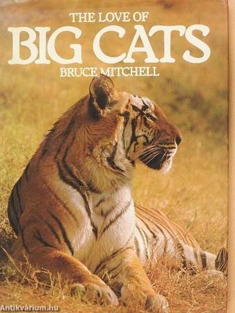 The Love of Big Cats