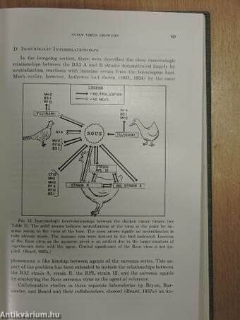 Advances in Cancer Research 7.