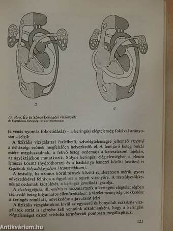 Belgyógyászat - Alkalmazott gyógyszertan