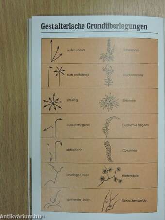 Gestalten mit Blüten und Blumen, mit Gräsern, Zweigen, Fruchtständen