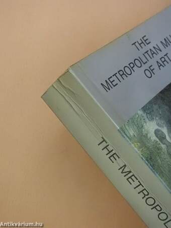 The Metropolitan Museum of Art Guide