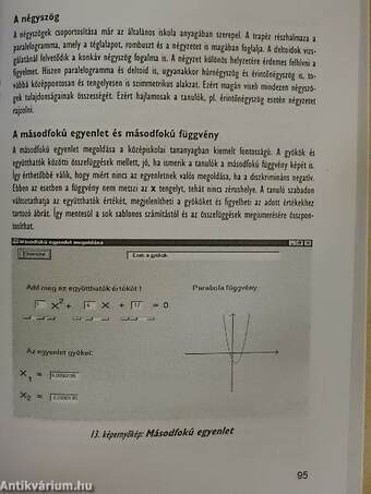 Írisz-sulinet - Ablak a világra 2000