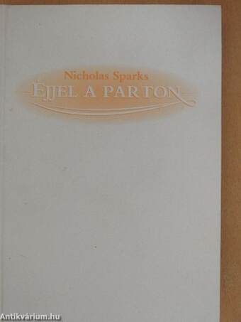 Éjjel a parton