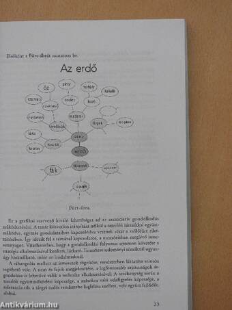 Az iskolai könyvtár új modellje a gyakorlatban