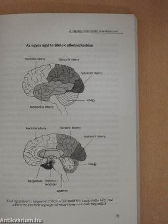 Neurofeedback