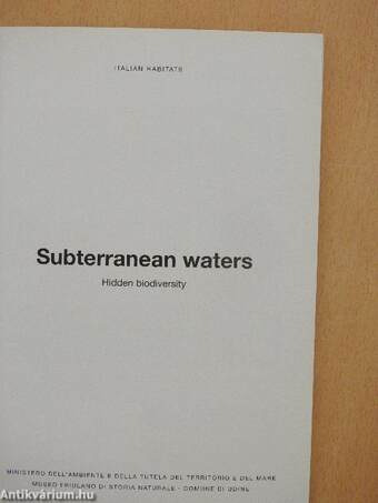 Subterranean Waters